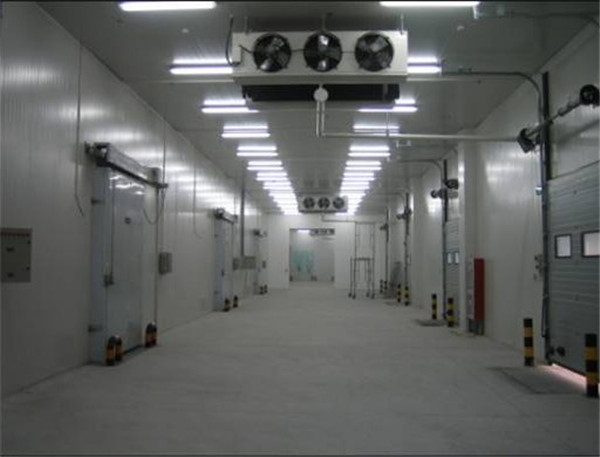 恒溫冷庫,恒溫冷庫廠家,恒溫冷庫建造,恒溫冷庫設(shè)計(jì),恒溫冷庫價格表